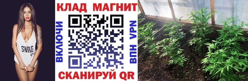 Наркотические вещества Лукоянов Cocaine СОЛЬ MEGA Мефедрон Конопля LSD-25