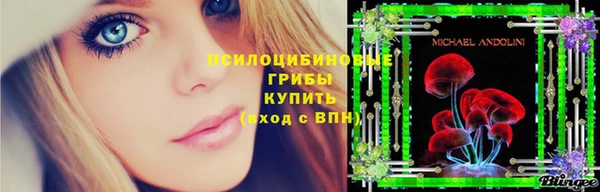 прущая мука Арсеньев